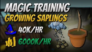 Growing Saplings 40K EXP  6000K GPHr [upl. by Melodee]