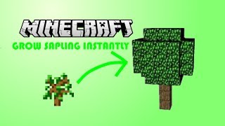 How To Make Saplings  Trees Grow Instantly In Minecraft PE [upl. by Ahsienauq]