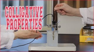 COLLIGATIVE PROPERTIES PreLab  NYB Chemistry of Solutions [upl. by Adnavoj190]