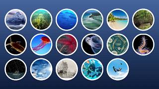 Marine Biology at Home 1 Introduction [upl. by Arlyn]