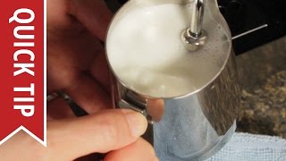 How to AutoFroth Milk for Lattes [upl. by Ianahs]