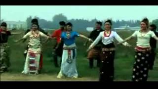 Tibetan dance 2014  02 [upl. by Couchman930]