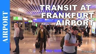 TRANSIT WALK AT FRANKFURT Airport FRA Terminal 1  Connection Flight Transfer Arriving amp Departing [upl. by Viviana]